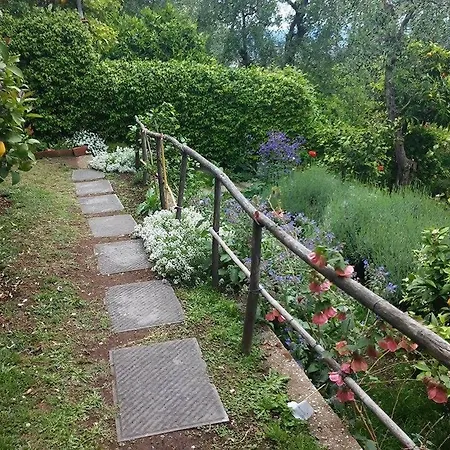 Apartment Residenza Buggiano Antica - Charme In Tuscany *