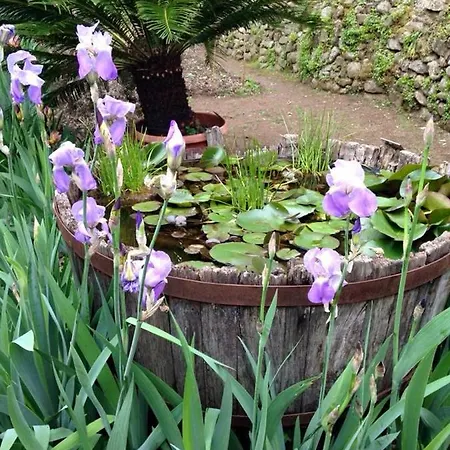 Residenza Buggiano Antica - Charme In Tuscany *